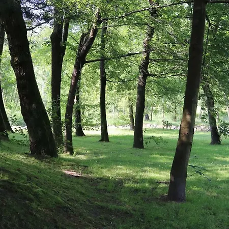 Il Girasole Appartement Castelletto sopra Ticino