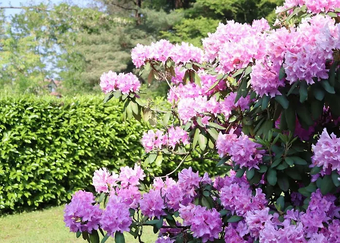 아파트 Il Girasole